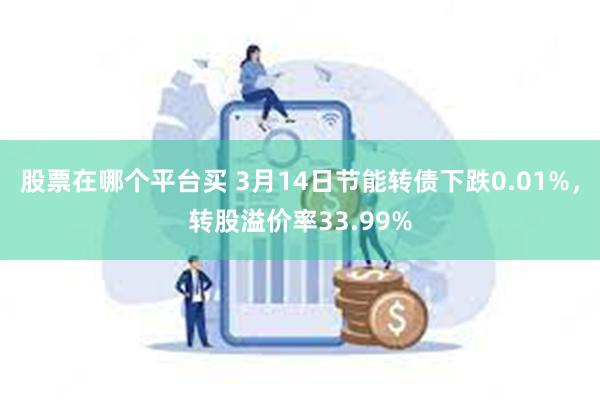 股票在哪个平台买 3月14日节能转债下跌0.01%，转股溢价率33.99%