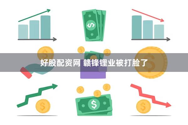 好股配资网 赣锋锂业被打脸了