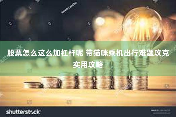 股票怎么这么加杠杆呢 带猫咪乘机出行难题攻克实用攻略