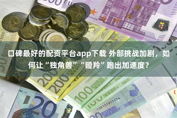 口碑最好的配资平台app下载 外部挑战加剧，如何让“独角兽”“瞪羚”跑出加速度？