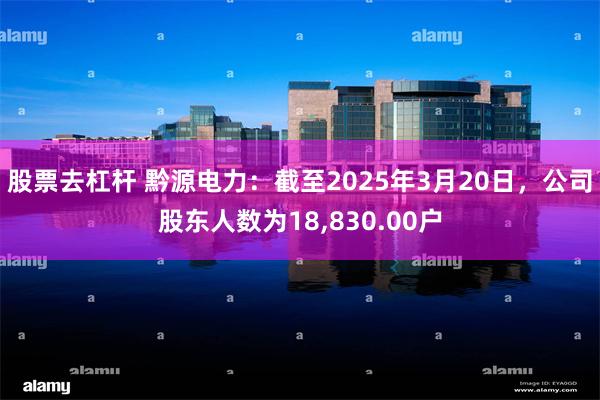 股票去杠杆 黔源电力：截至2025年3月20日，公司股东人数为18,830.00户