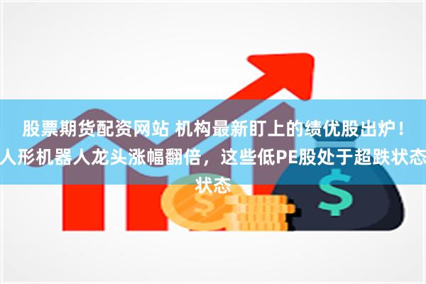 股票期货配资网站 机构最新盯上的绩优股出炉！人形机器人龙头涨幅翻倍，这些低PE股处于超跌状态