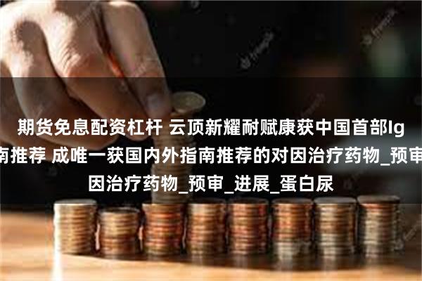 期货免息配资杠杆 云顶新耀耐赋康获中国首部IgA肾病诊疗指南推荐 成唯一获国内外指南推荐的对因治疗药物_预审_进展_蛋白尿