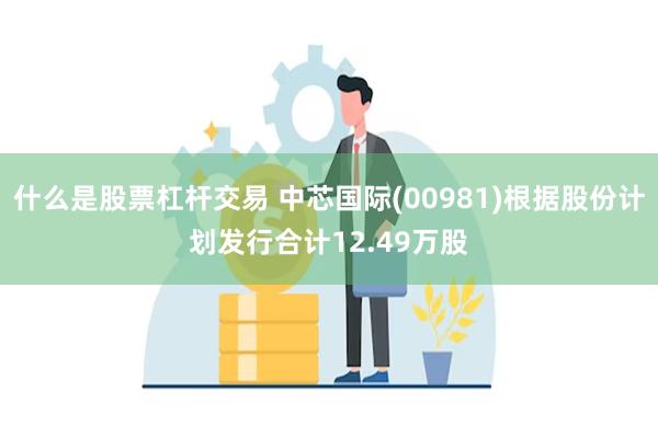 什么是股票杠杆交易 中芯国际(00981)根据股份计划发行合计12.49万股
